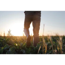 Jachtlaarzen Renfort 540 Met Rits -Schoenen Verkoop jachtlaarzen renfort 540 met rits 6