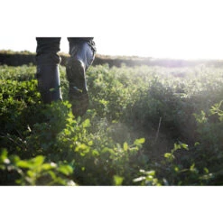 Rubberlaarzen Met Plooi 520 -Schoenen Verkoop rubberlaarzen met plooi 520 5